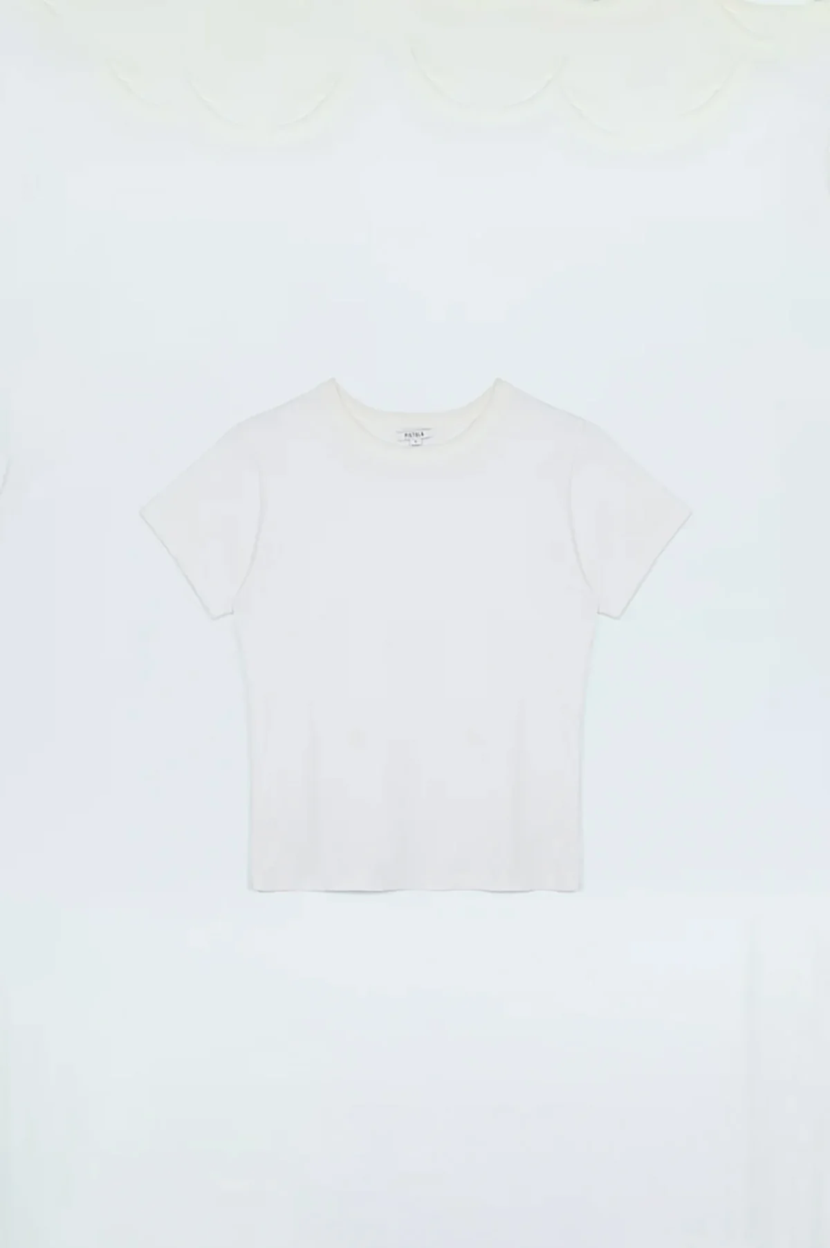 Alba - Image 3