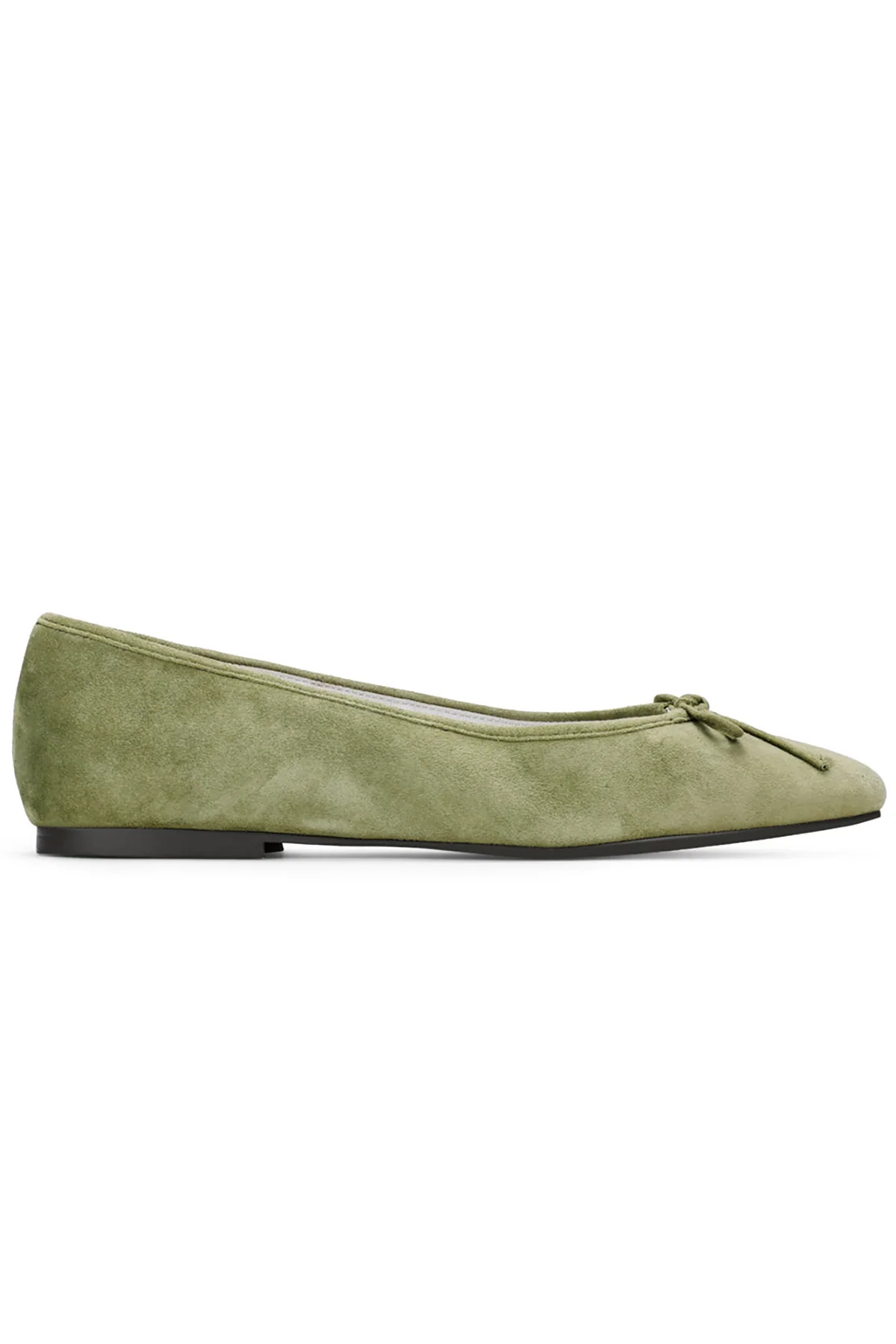 Sage - Image 4