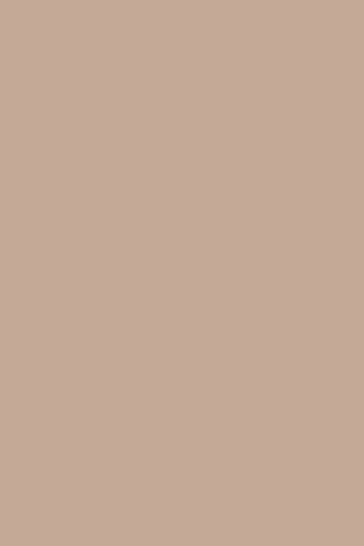 Tanklette - Image 3
